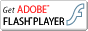 ADOBE FLASH PLAYER ̃_E[h͂